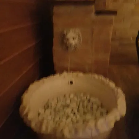 Vodicka Piest'any