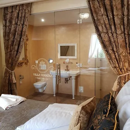 Vodicka Guest house *