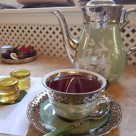 Πανσιόν Vodicka
